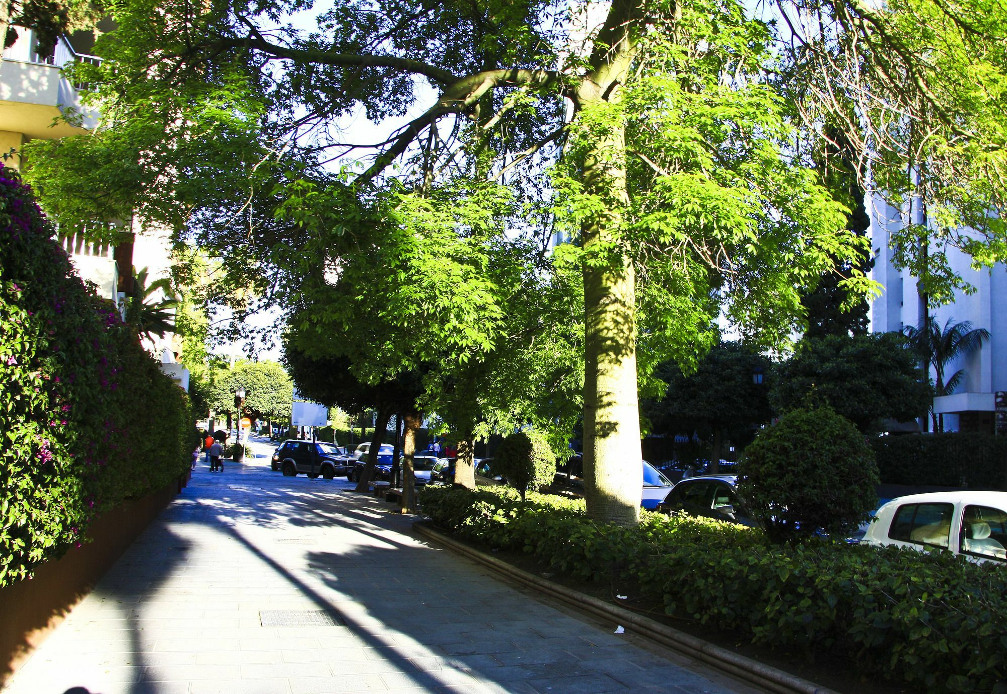 Chambao Suite Marbella Exterior foto